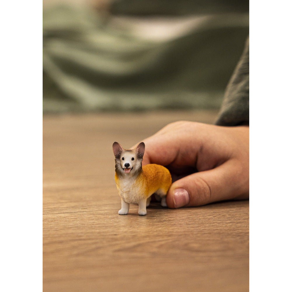 Schleich Welsh Corgi - Toyworld NZ