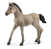 Schleich Criollo Definitivo Foal