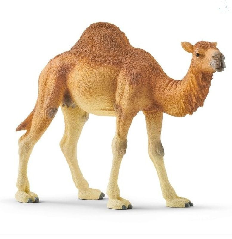 Schleich Dromedary