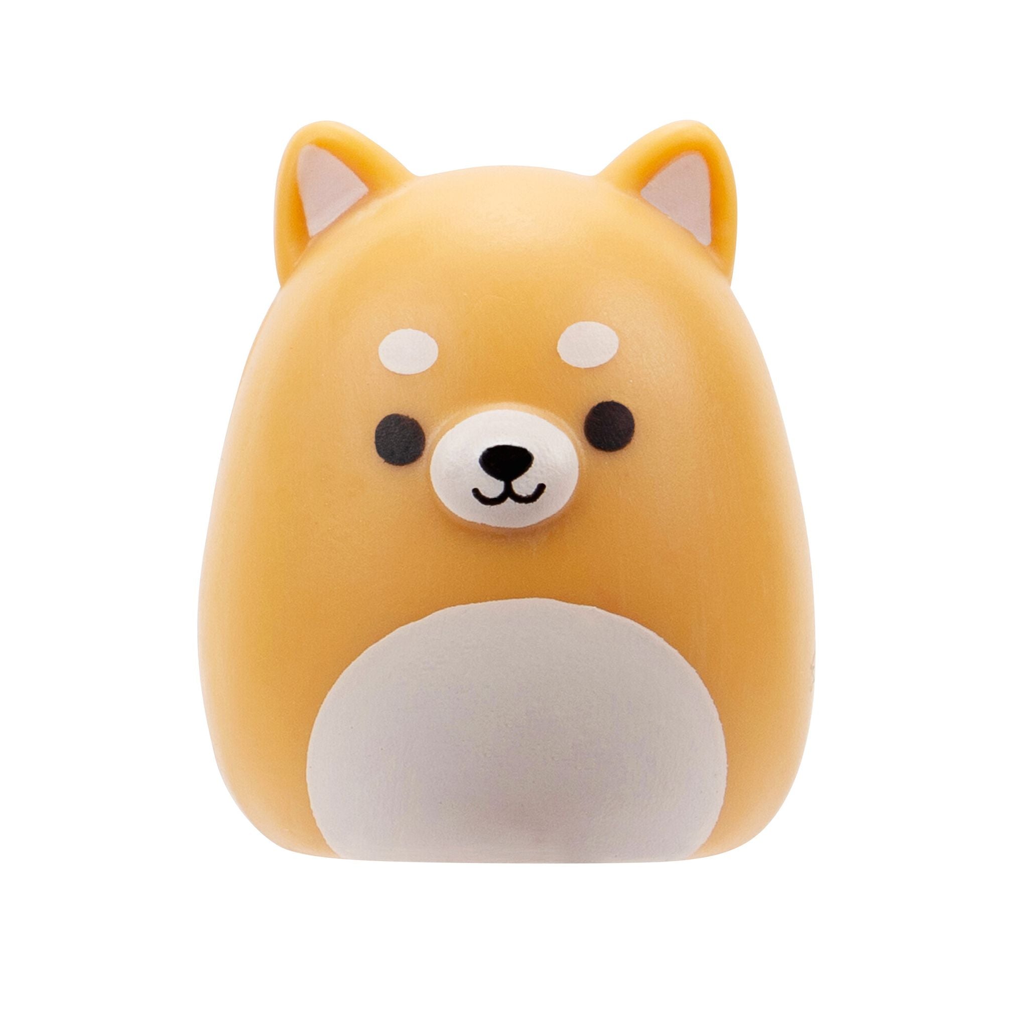 Squish-a-longs 2 Pack Blind Assortment