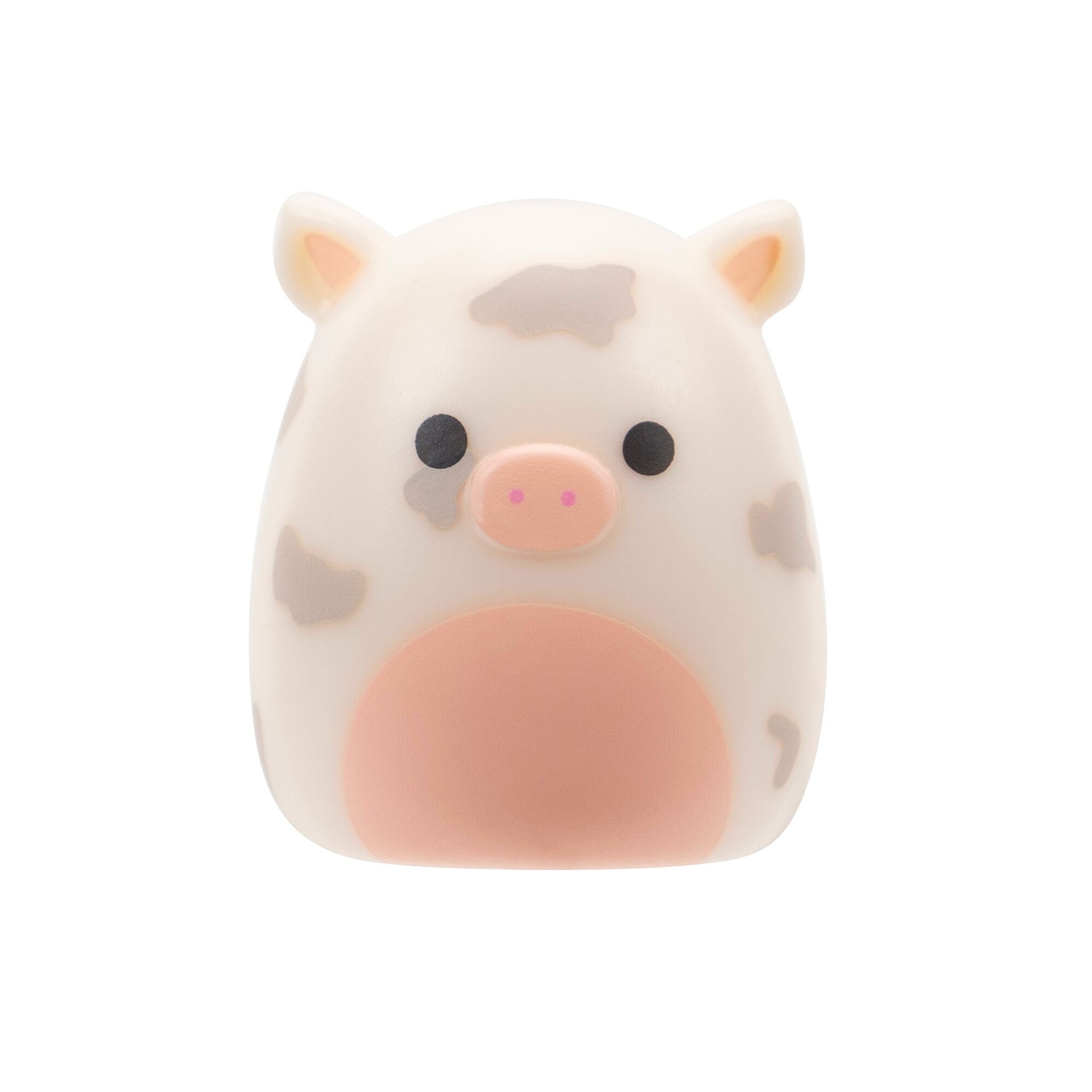 Squish-a-longs 2 Pack Blind Assortment