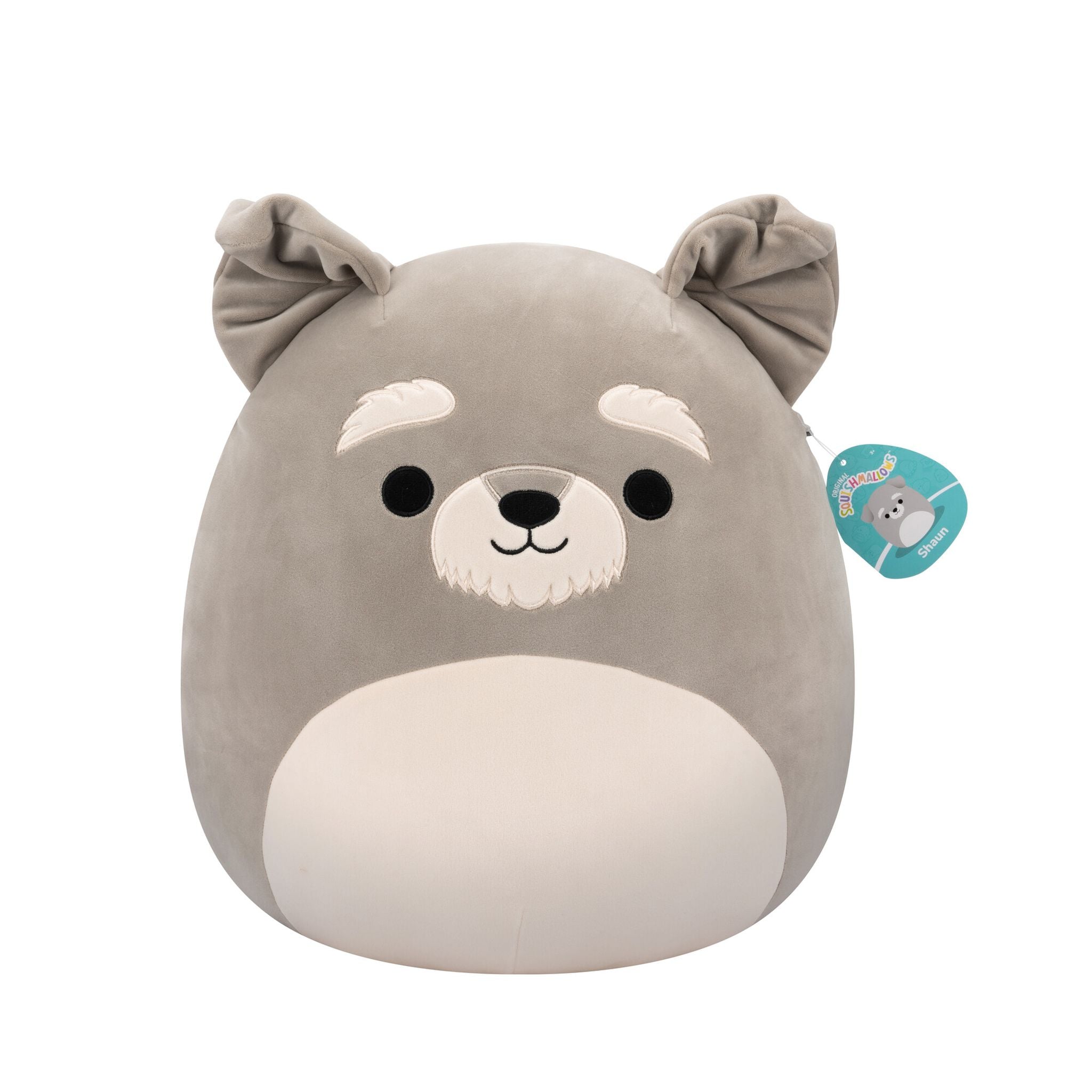 Squishmallows Shaun Le Schnauzer Gris – Peluche Ultra Douce Originale 40 Cm, Personnage Unique