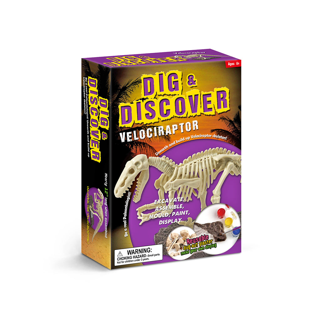 Dig & Discover Dinosaur Excavation Kit Assorted