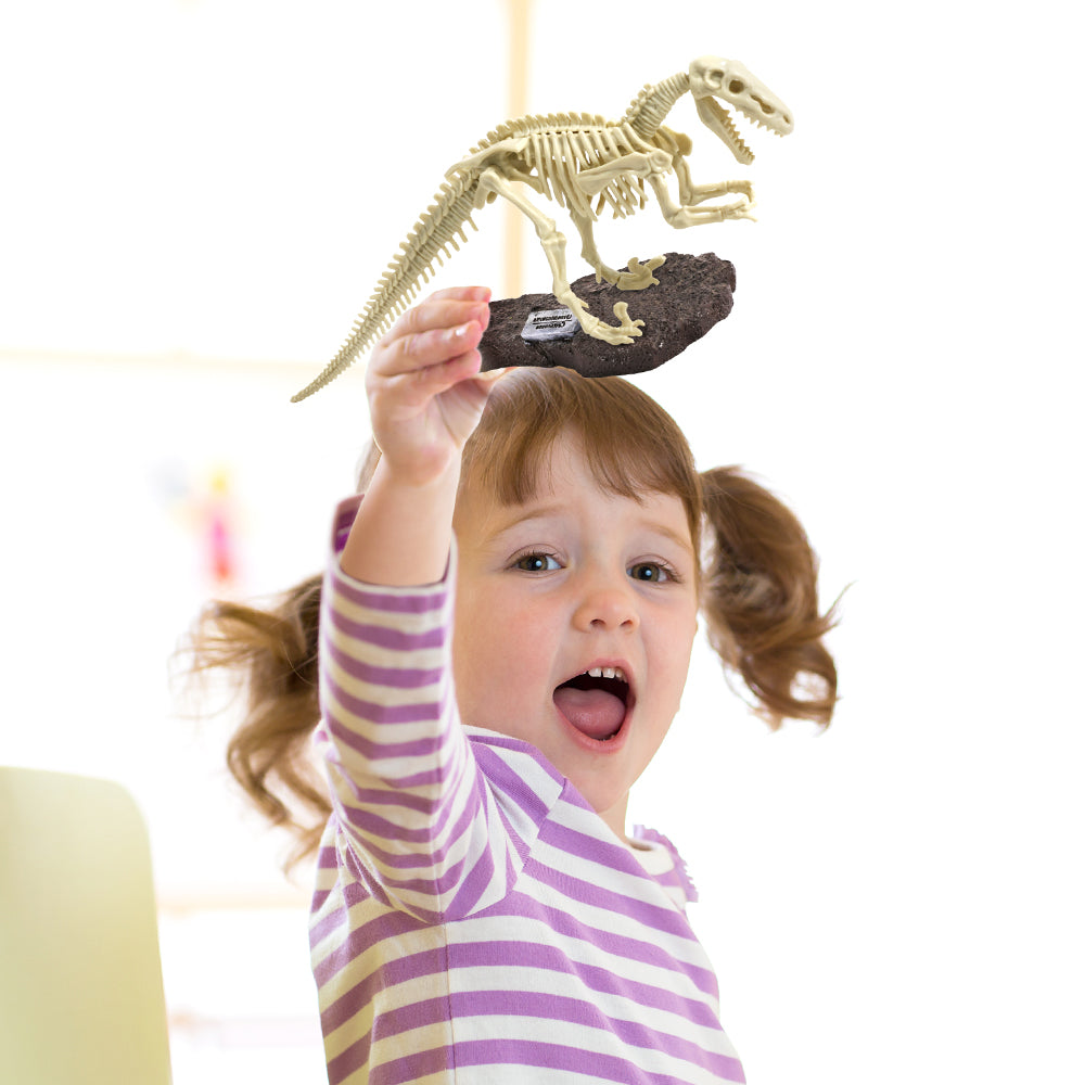 Dig & Discover Dinosaur Excavation Kit Assorted – Toyworld NZ