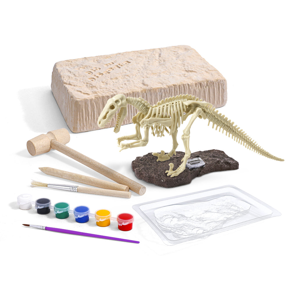 Dig & Discover Dinosaur Excavation Kit Assorted