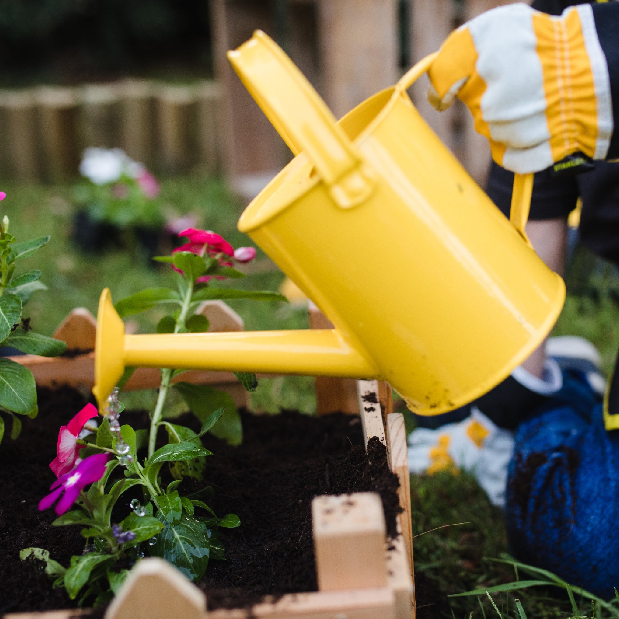Stanley Jr. Watering Can