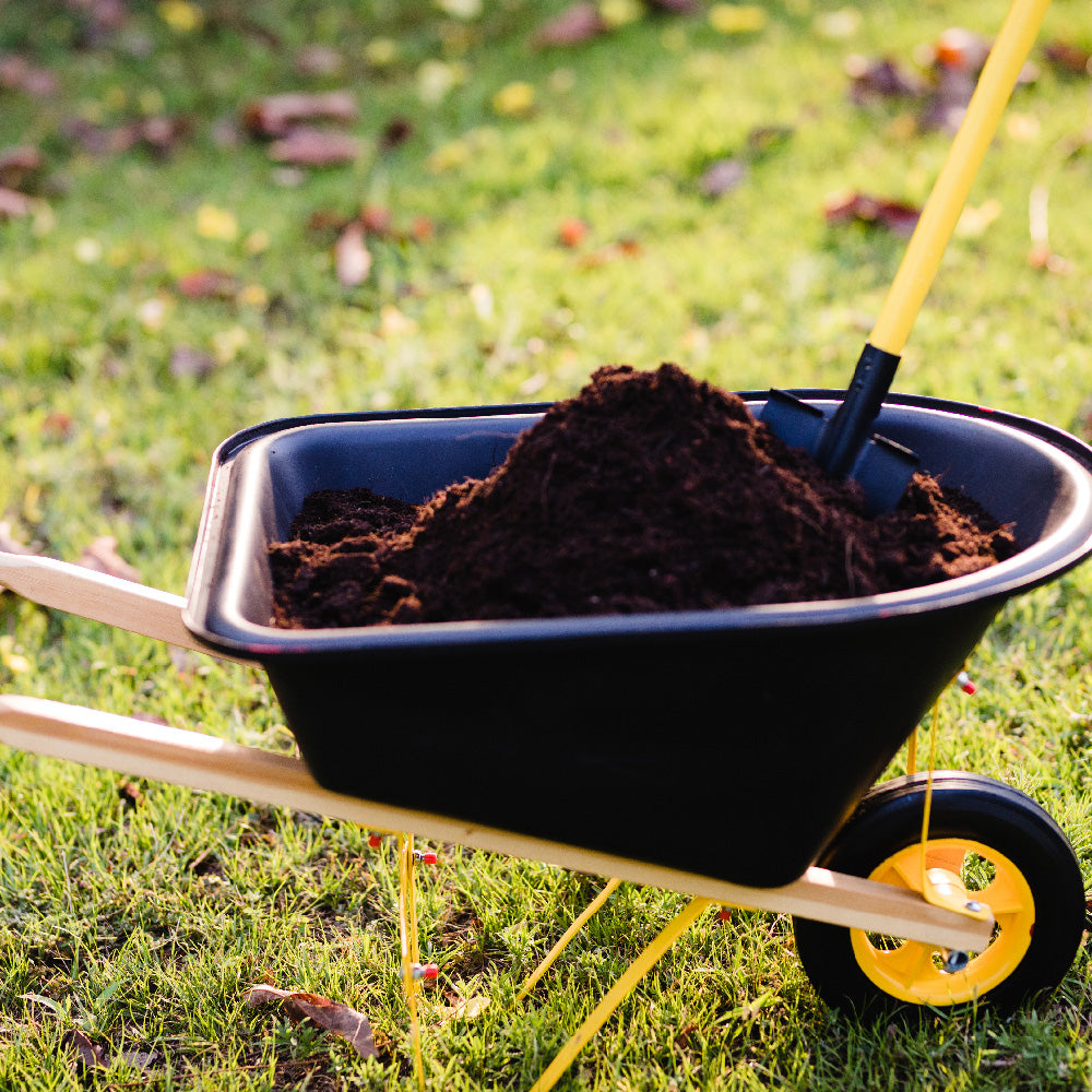 Stanley Jr. 20L Wheelbarrow For Kids