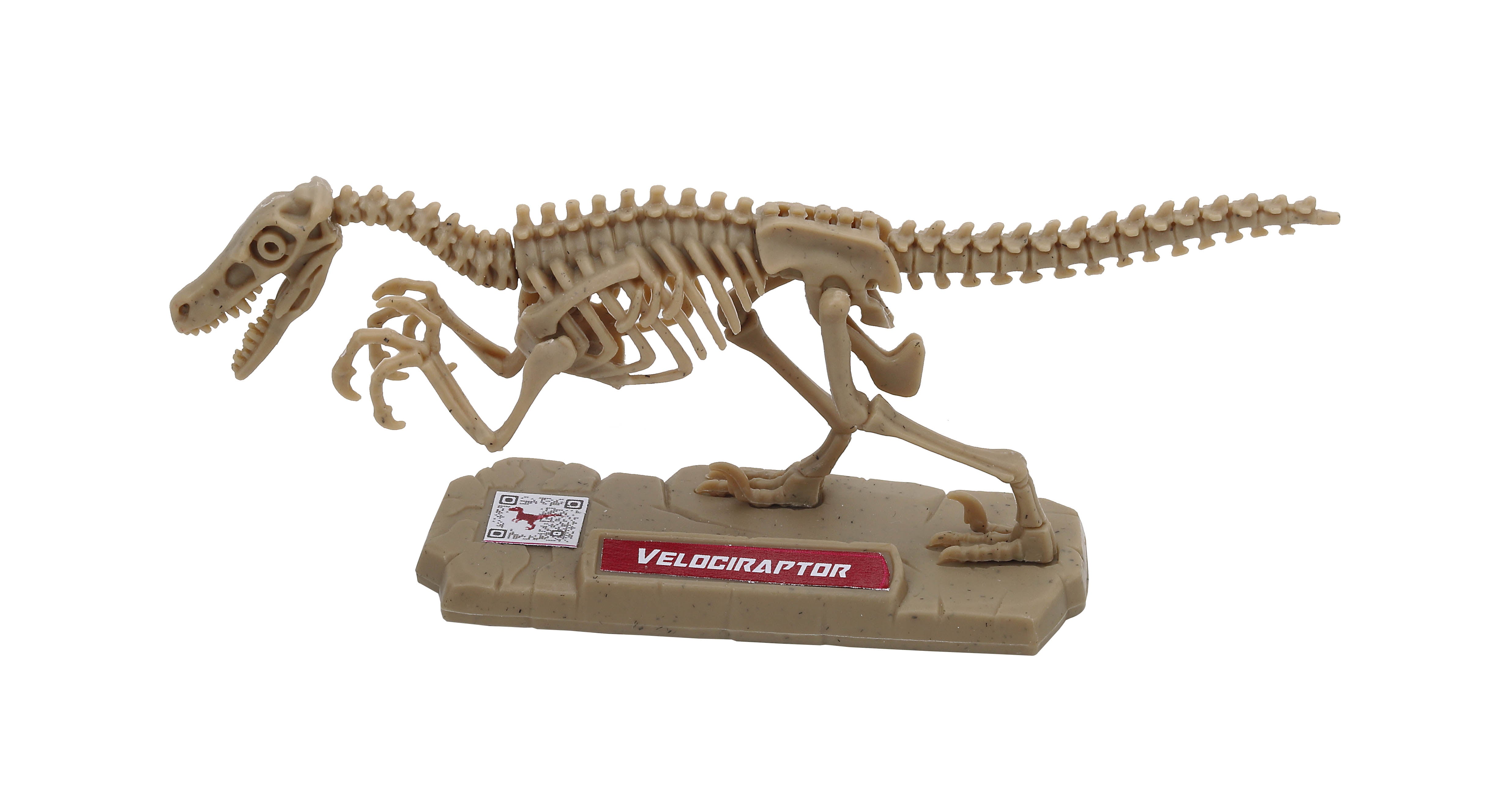 Wild Quest Dino Pocket 3D Skeleton Puzzle