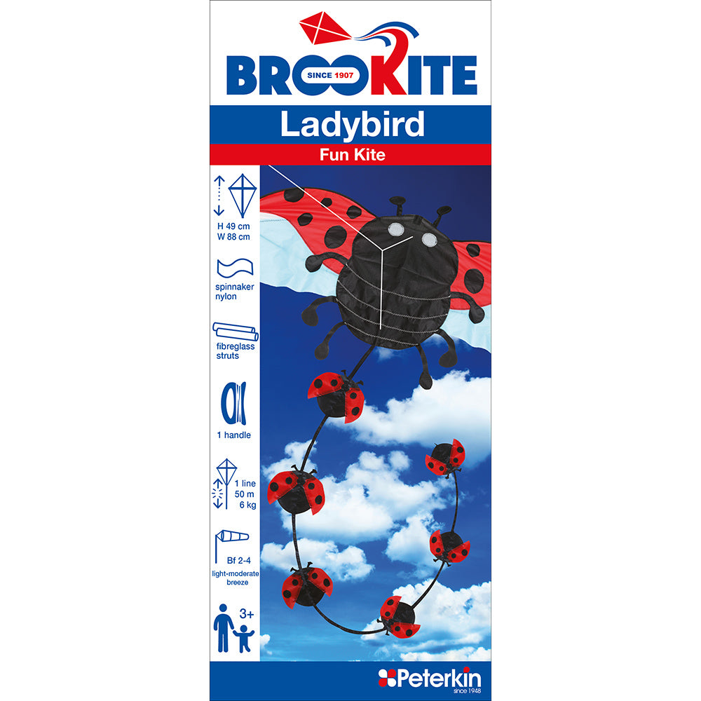 Brookite Ladybird Fun Kite