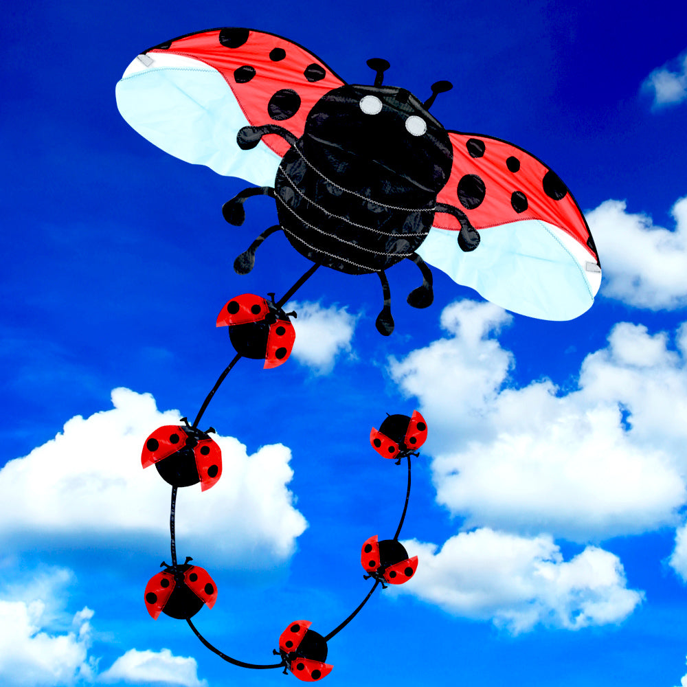 Brookite Ladybird Fun Kite