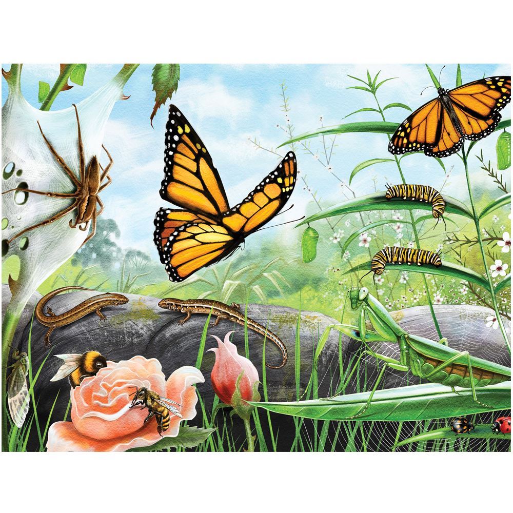 TREASURES OF AOTEAROA SERIES 2 96 PIECE FRAME TRAY PUZZLE ASSORTED STYLES