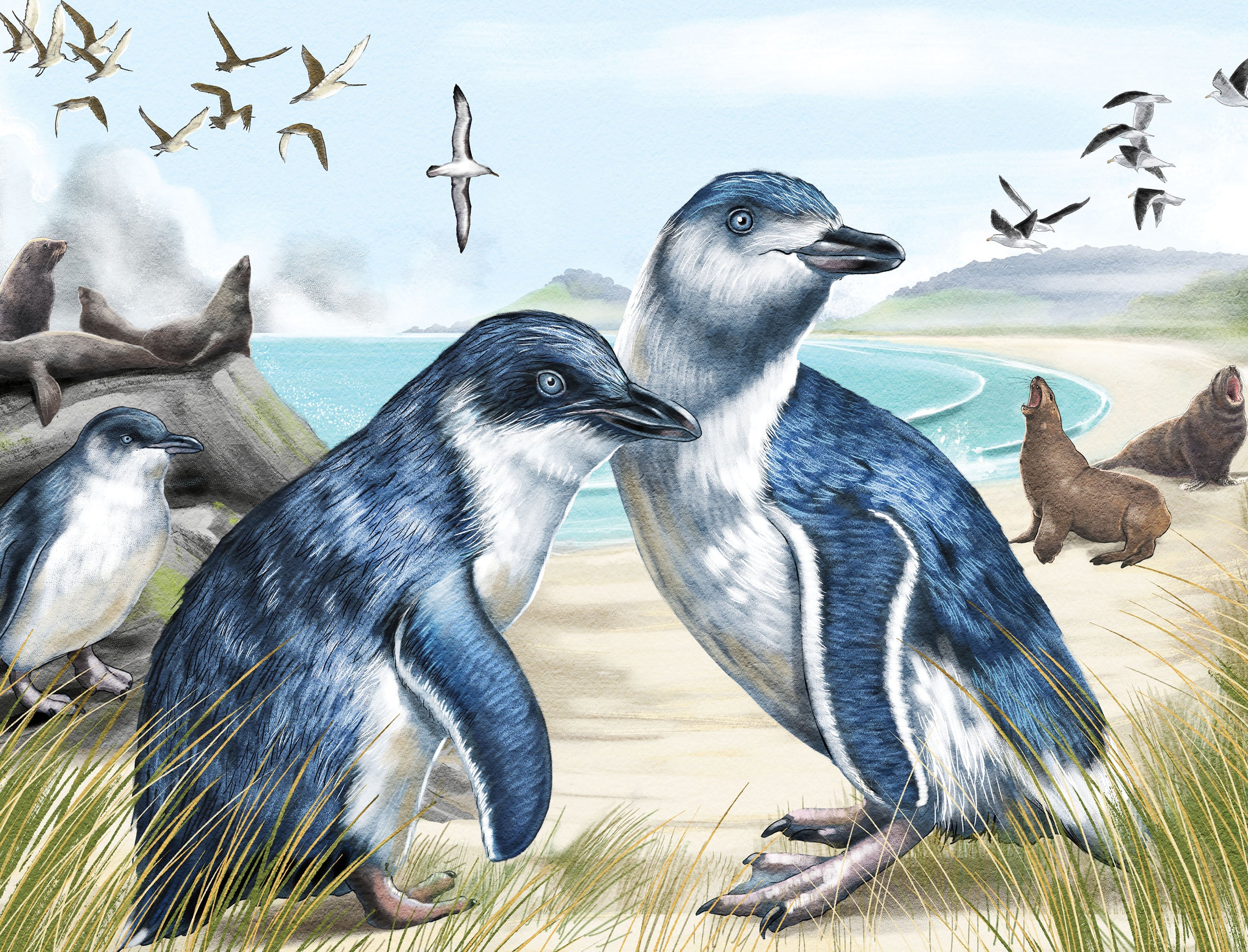 TREASURES OF AOTEAROA SERIES 1 96 PIECE FRAME TRAY PUZZLE ASSORTED STYLES