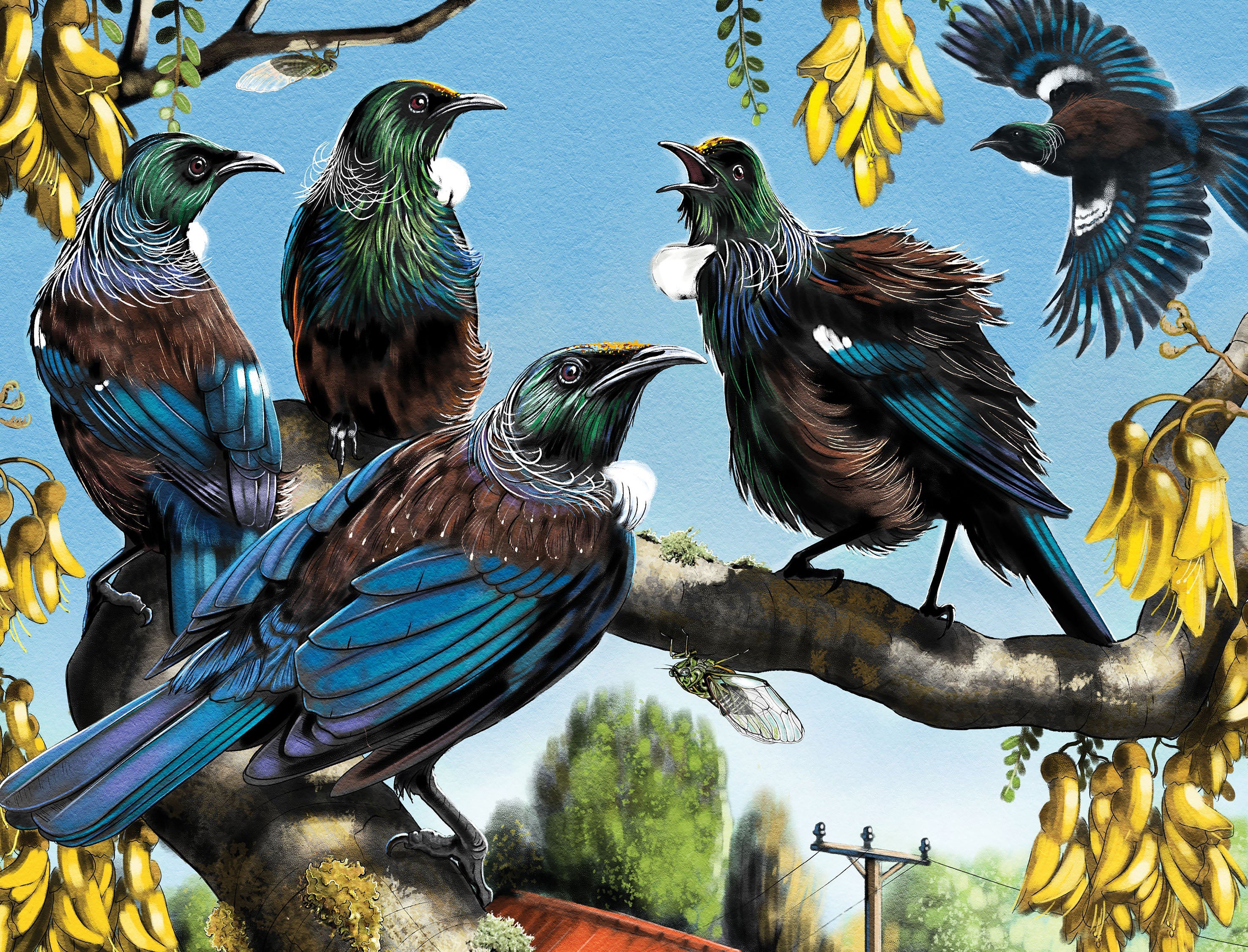 TREASURES OF AOTEAROA SERIES 1 96 PIECE FRAME TRAY PUZZLE ASSORTED STYLES