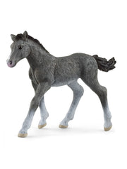 Schleich Trakehner Foal