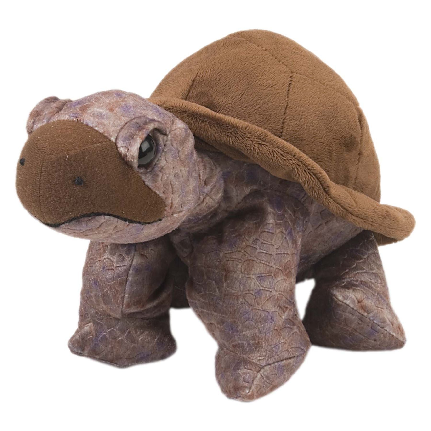 Wild Republic Cuddlekins Tortoise 12 Inch - Toyworld NZ