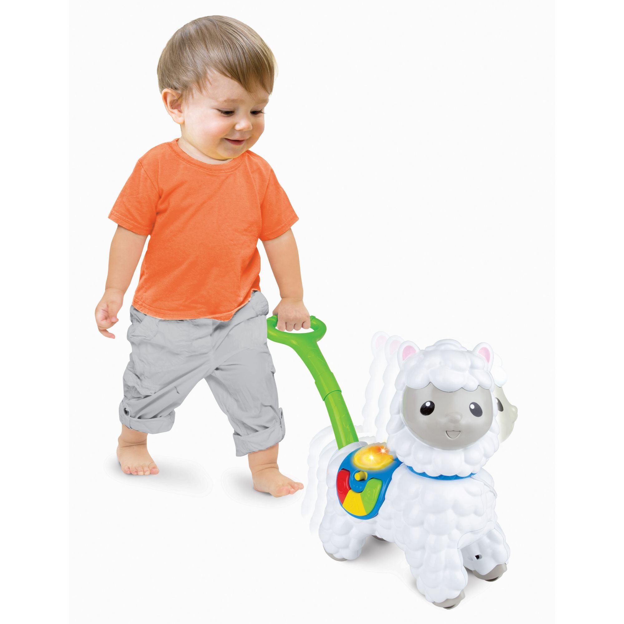 Winfun Push-Along Little Alpaca