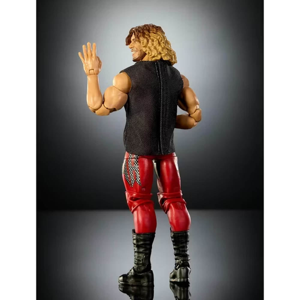 WWE Legends Elite Collection Series 21 Action Figure - Brian Pillman toy.