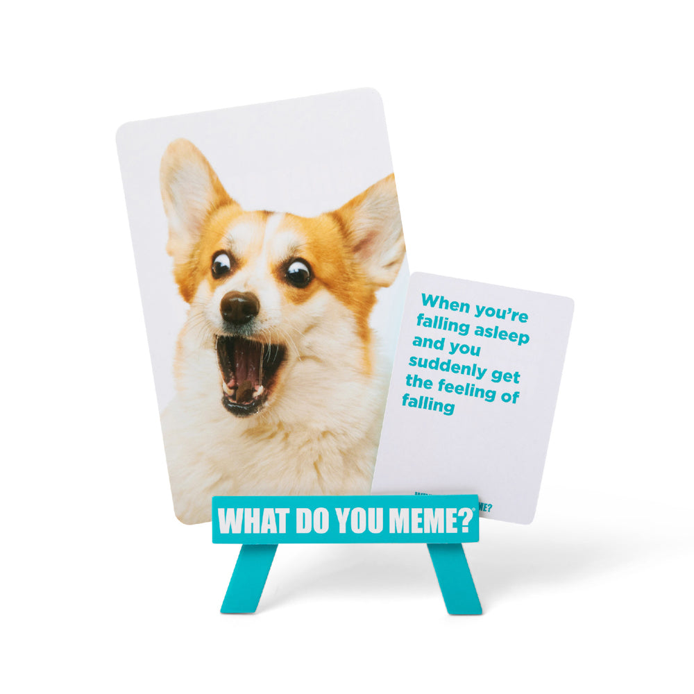 What Do You Meme? Family Edition card game.
