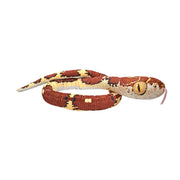 Wild Republic Snake 54 Inch Plush - Blunt Headed Snake.