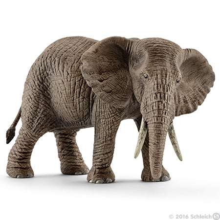 Schleich African Elephant Female