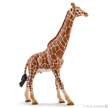 Schleich Giraffe Male - Toyworld NZ