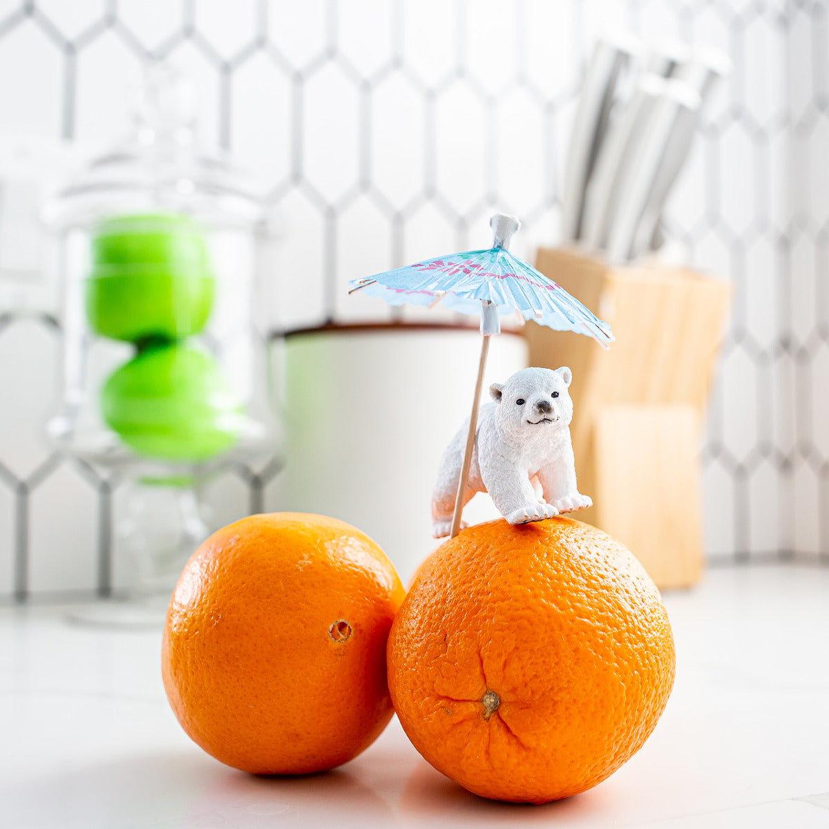 Schleich Polar Bear Cub Walking - Toyworld NZ