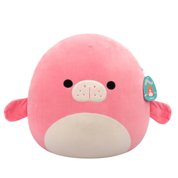 Squishmallows 16 Inch Series 20 Morlai Coral Manatee With White Belly