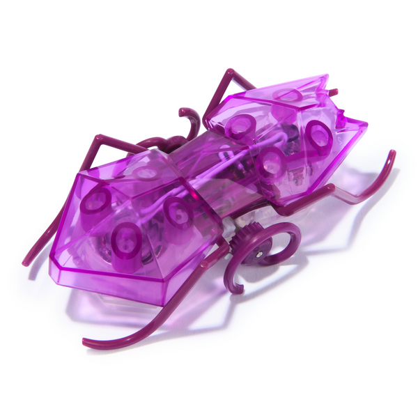 HEXBUG Micro Ant Robotic Pet Purple – Toyworld NZ