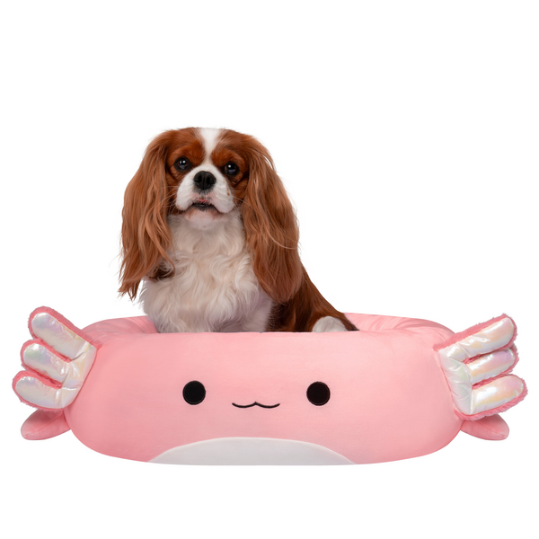 Squishmallows Pet Bed Archie Axol 24 Inch Med