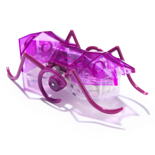 HEXBUG Micro Ant Robotic Pet Purple
