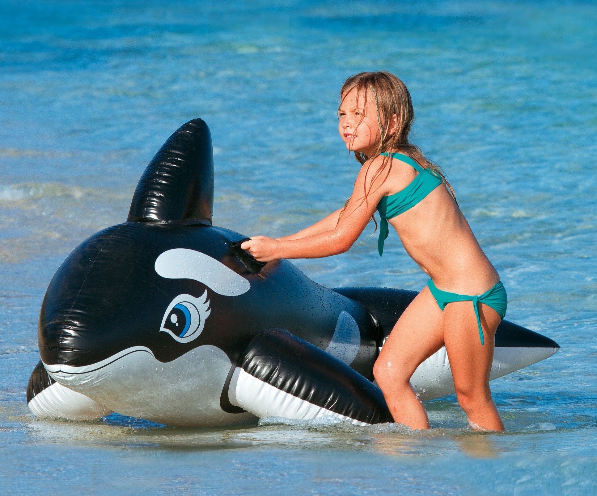 Intex Whale Ride On – Toyworld NZ - Main Image